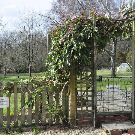 Bed and Breakfast Little Tidebrook Farm Wadhurst Exterior foto