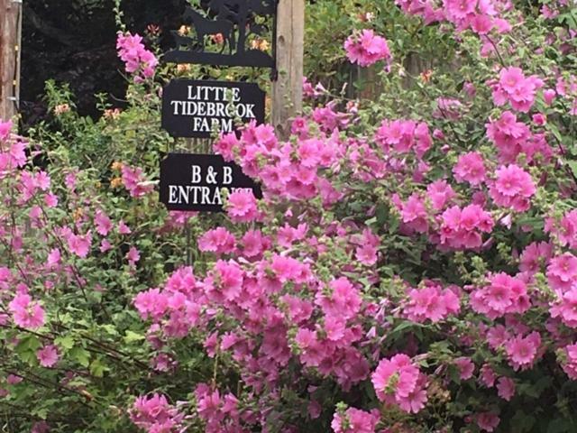 Bed and Breakfast Little Tidebrook Farm Wadhurst Exterior foto